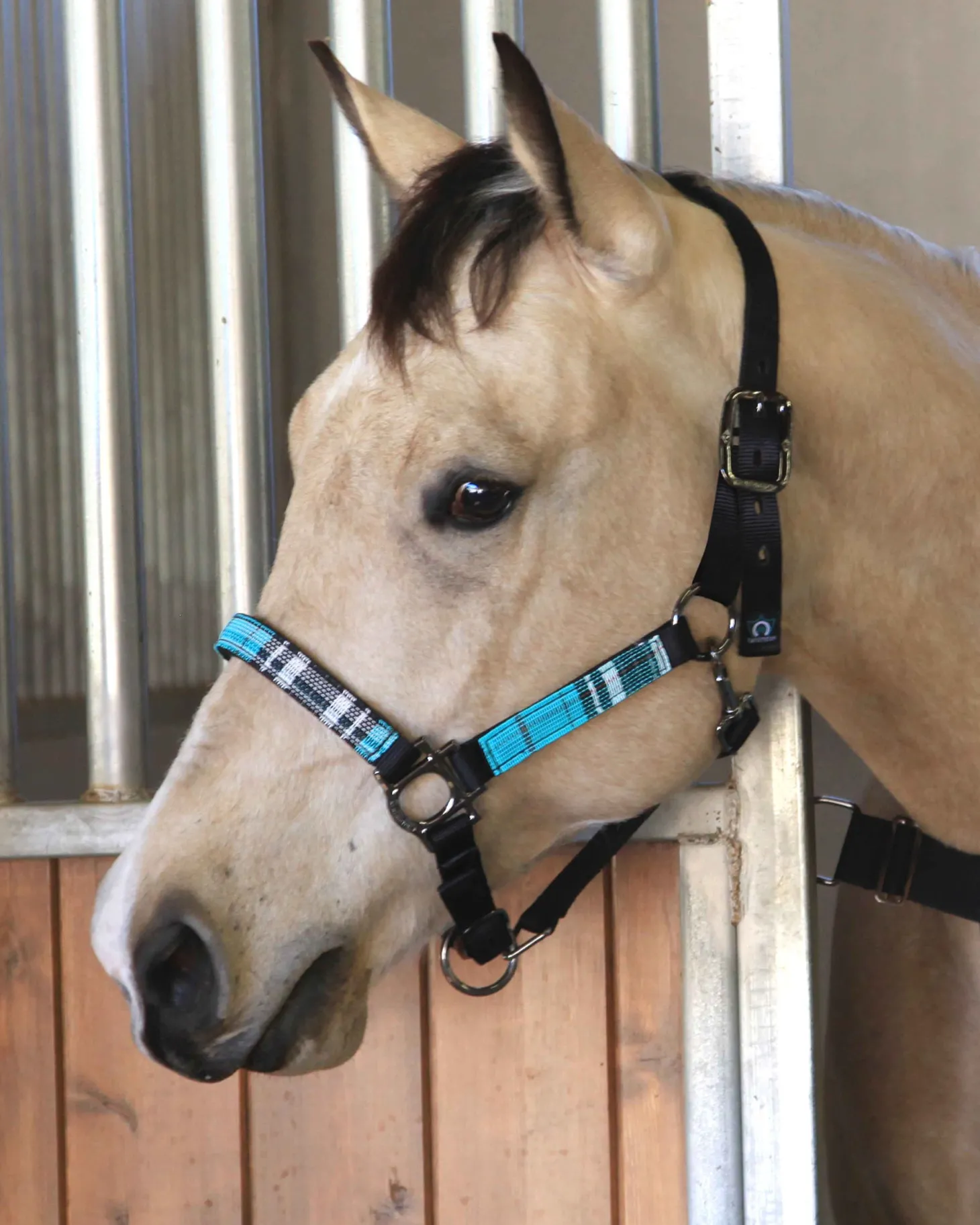 Kensington™ Premium Halter