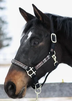 Kensington™ Premium Halter