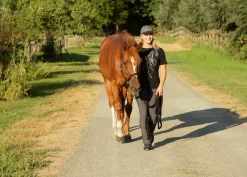 Kerrits Ladies’ Microcord Bootcut Pocket Knee-Patch Breech - Regular