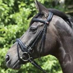 Kieffer Perseus Snaffle Bridle with Plain Browband