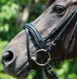 Kieffer Perseus Snaffle Bridle with Plain Browband