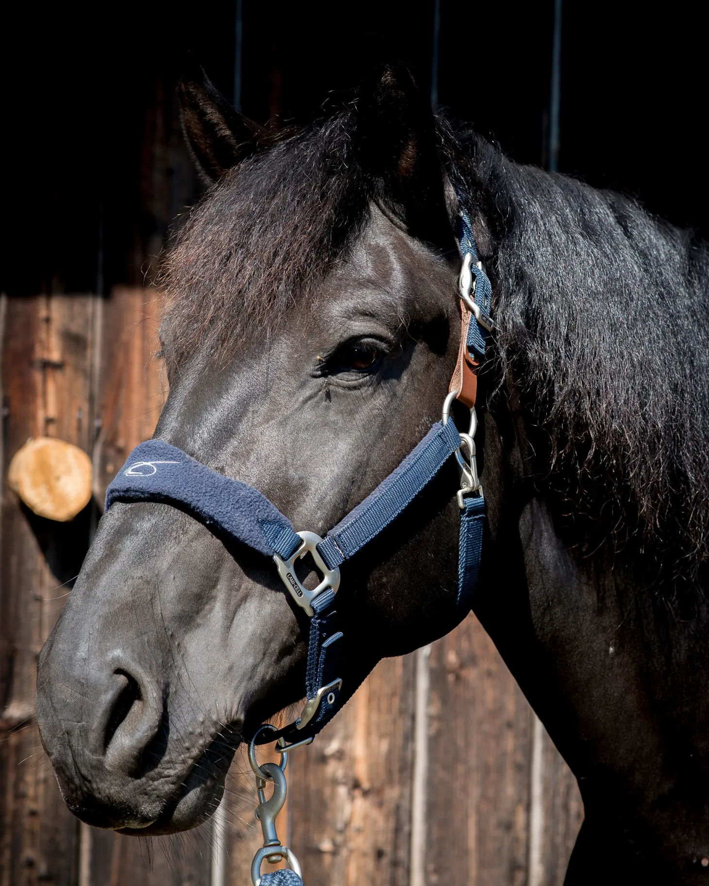 Lami-Cell Fleece-Lined Halter