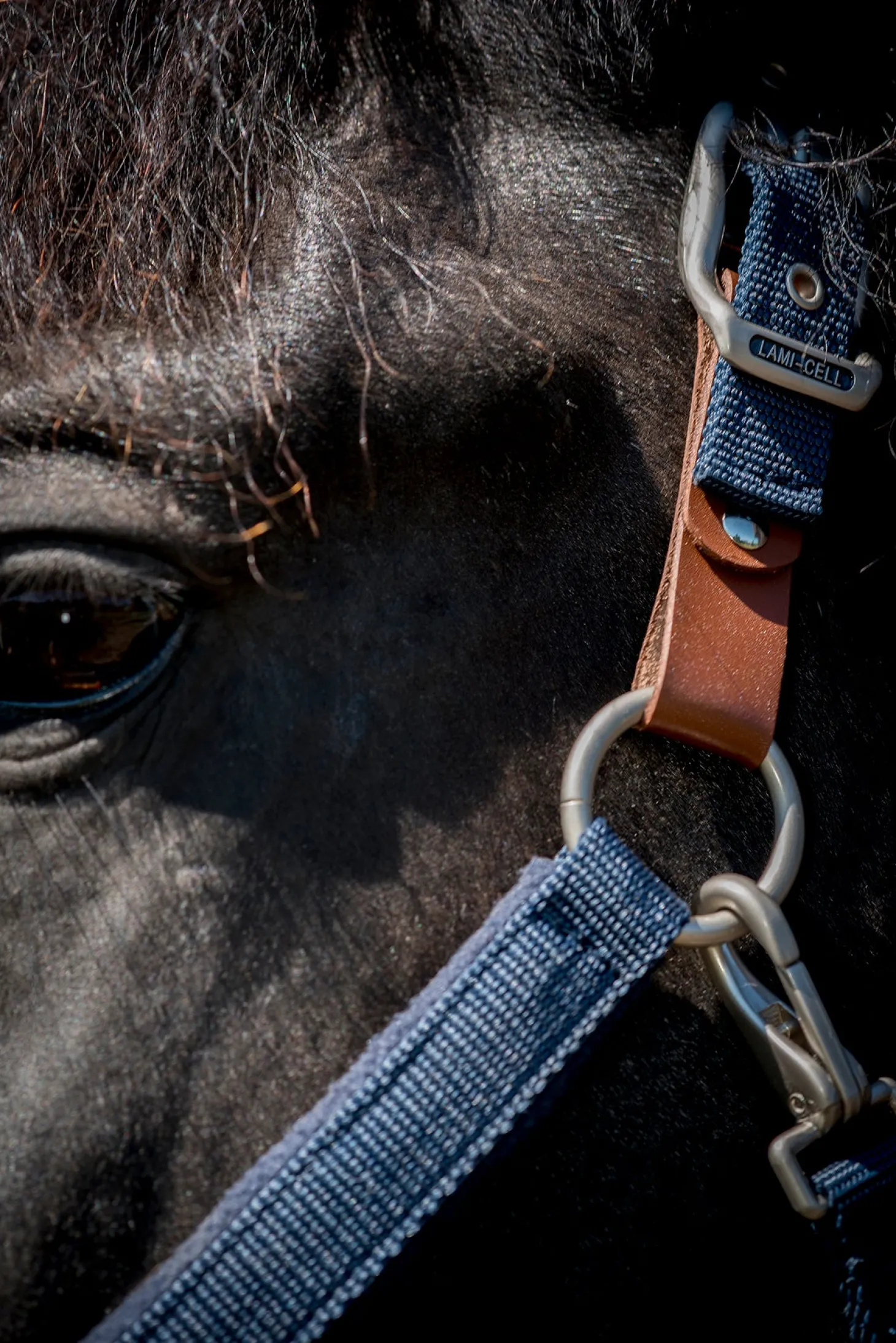 Lami-Cell Fleece-Lined Halter