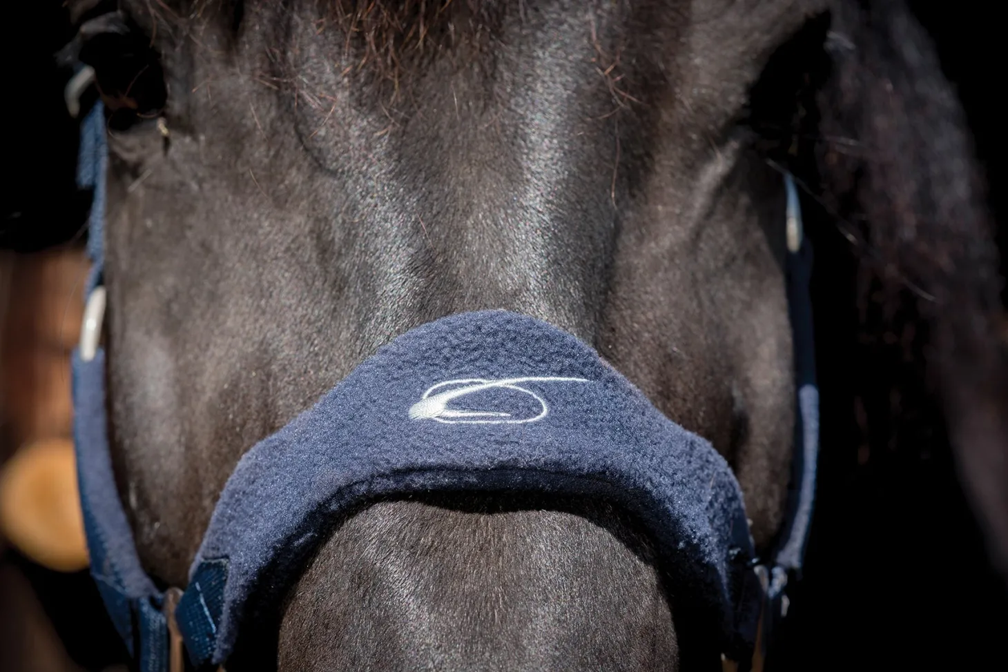 Lami-Cell Fleece-Lined Halter