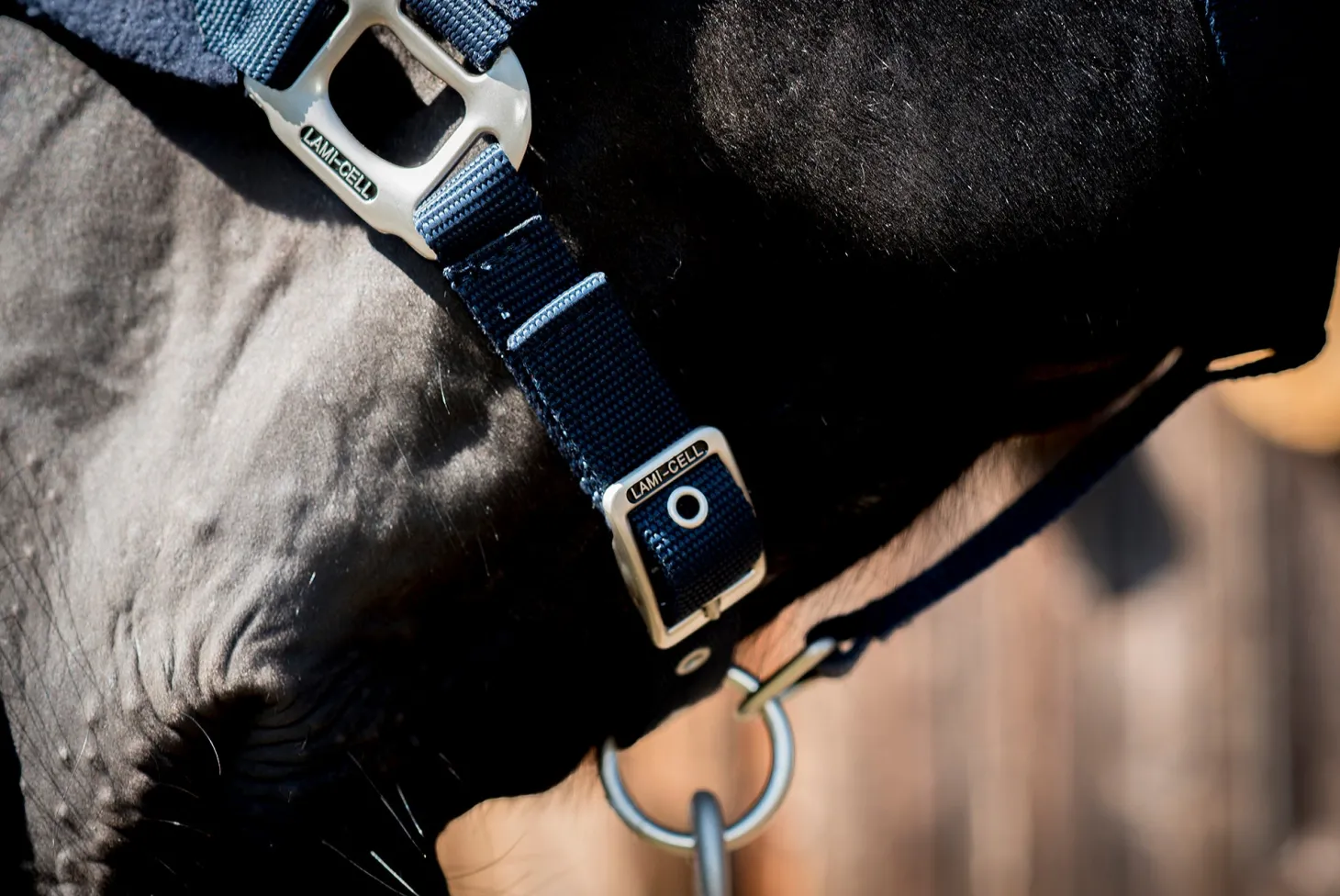 Lami-Cell Fleece-Lined Halter