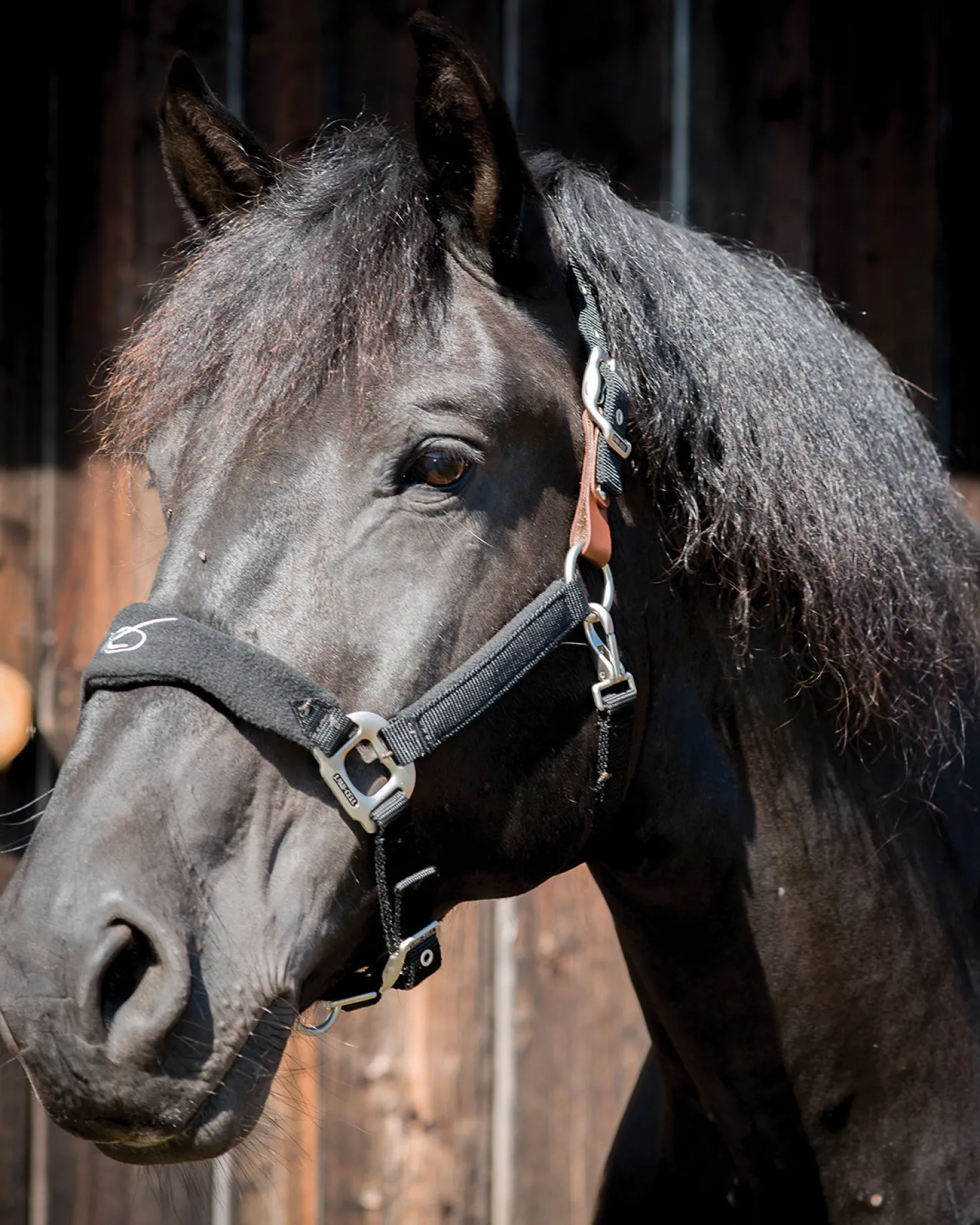 Lami-Cell Fleece-Lined Halter