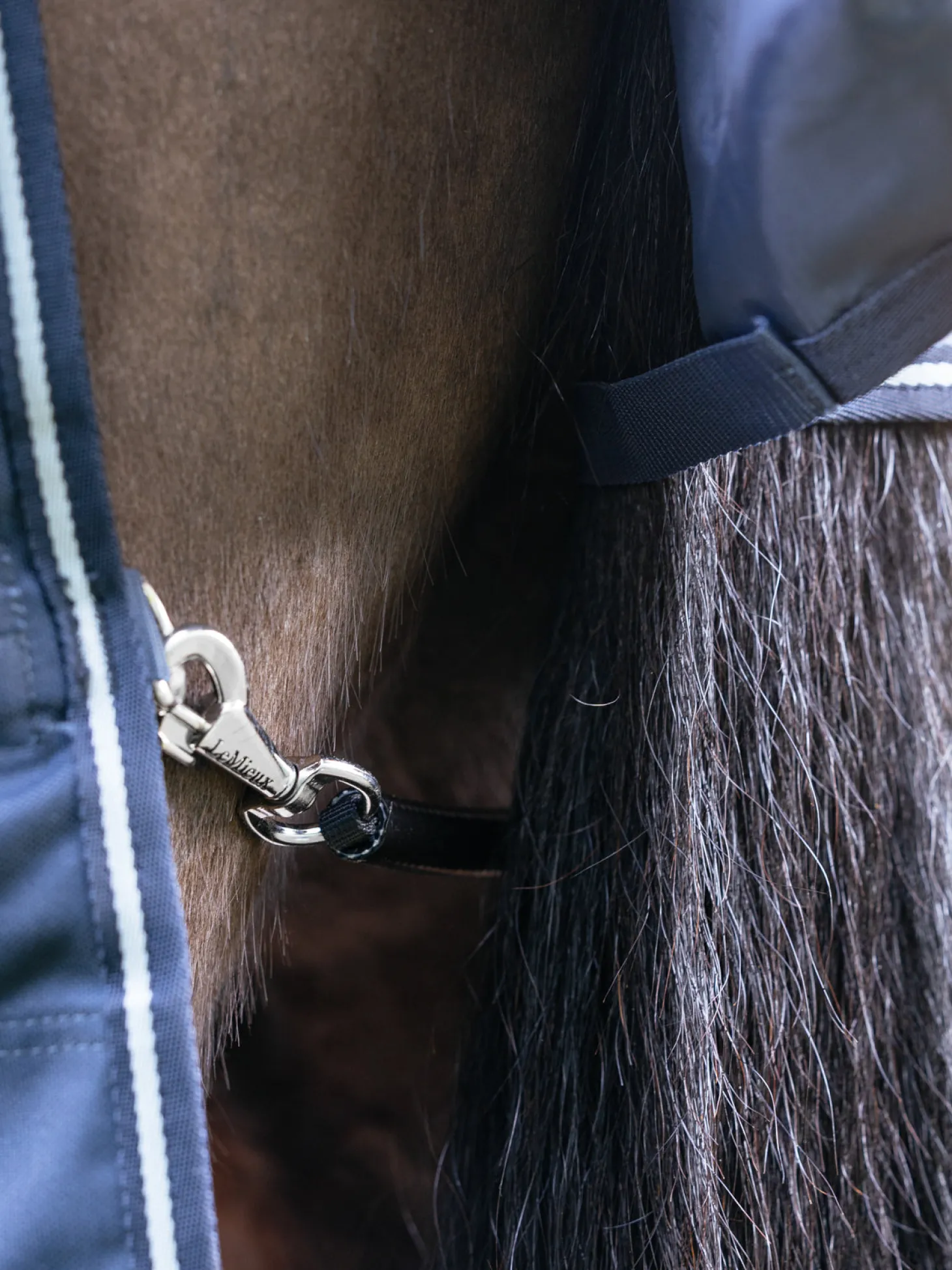 LeMieux® Arika Storm-Tek 200 Gram Turnout Blanket with Leg Straps