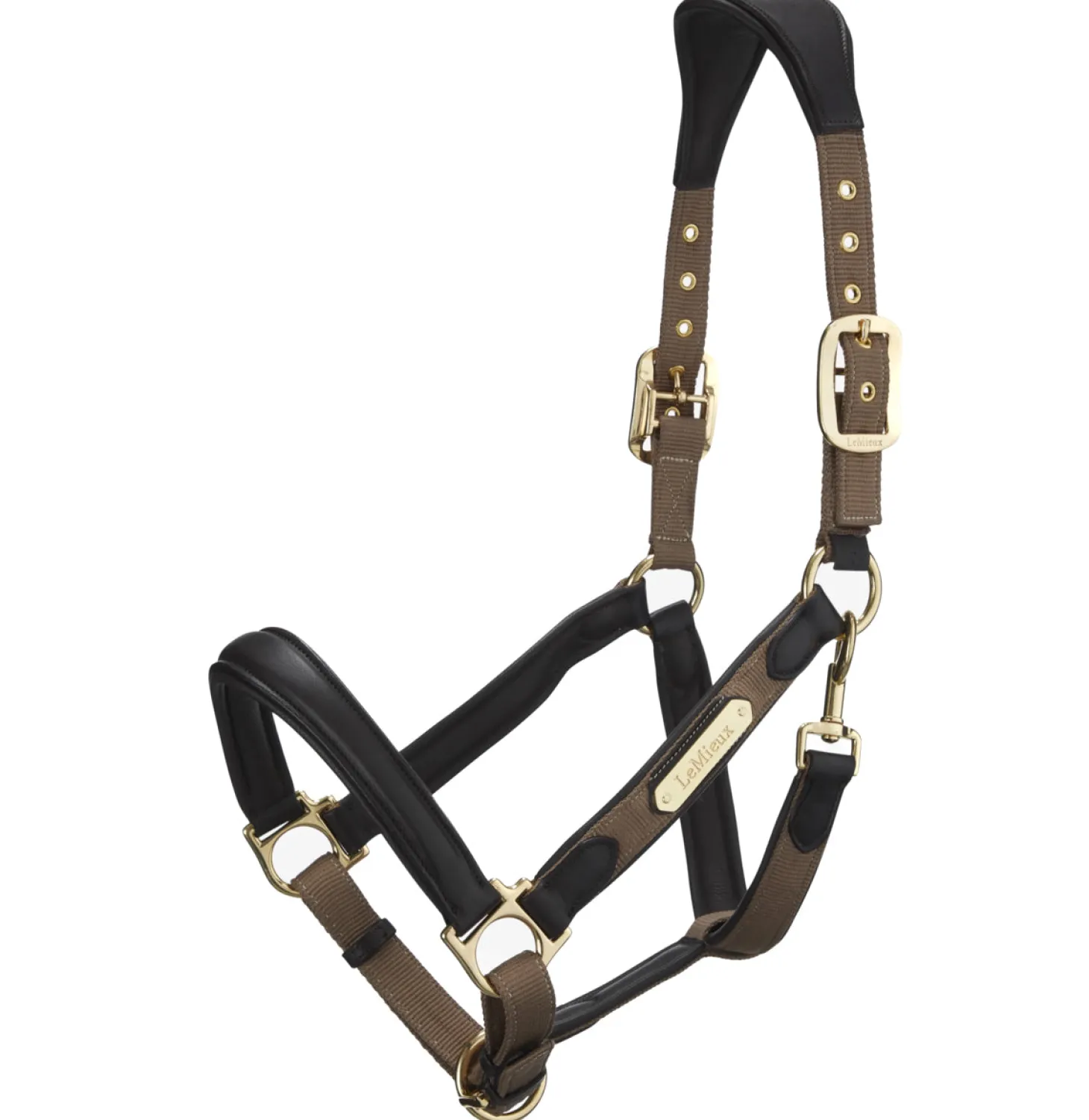 LeMieux® Capella Headcollar