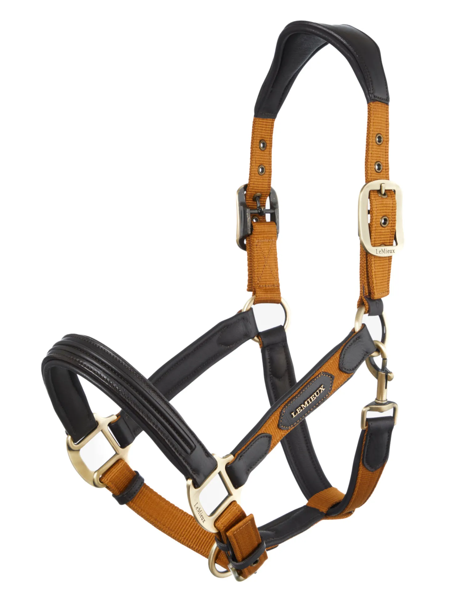 LeMieux® Capella Headcollar