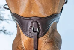 LeMieux® Gel-Tek Anatomic Jumping Girth