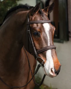 LeMieux® Hunter-Stitched Bridle