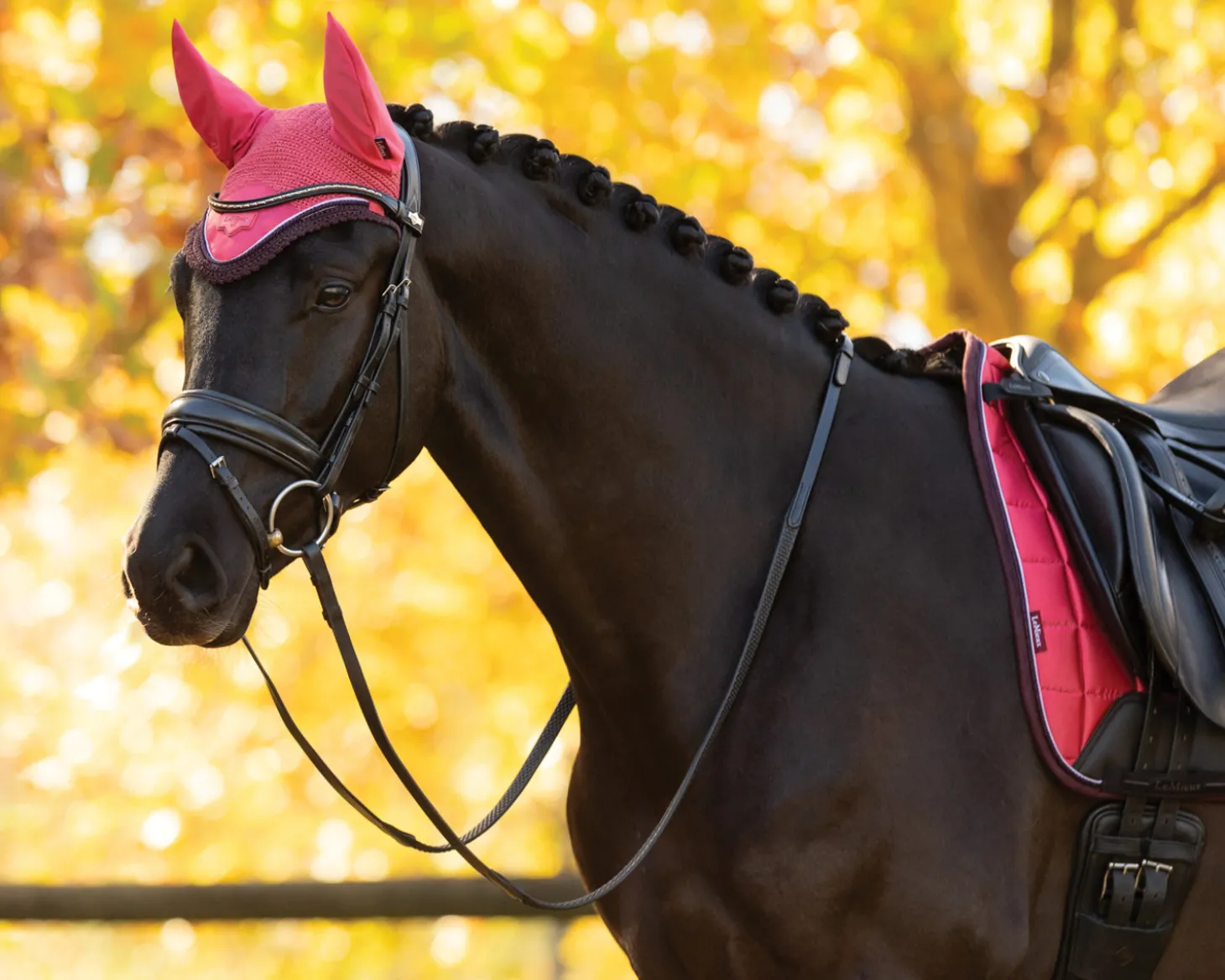 LeMieux® Loire Fly Bonnet