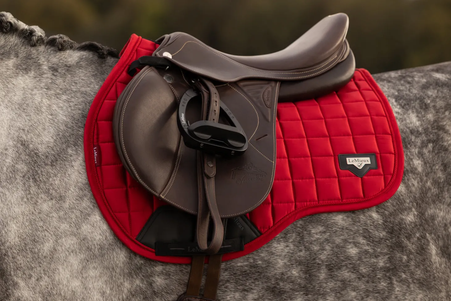 LEMIEUX® LOIRE GP SADDLE PAD