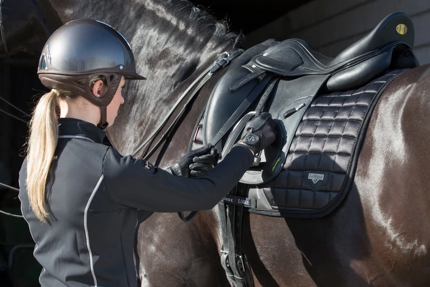 LeMieux® Loire Satin Classic Dressage Square