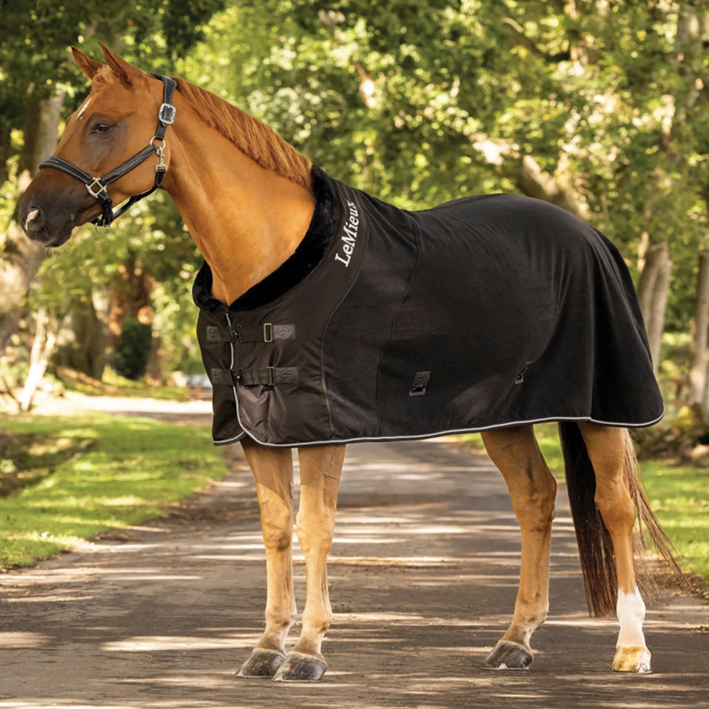 LeMieux® Luxe Fleece Rug
