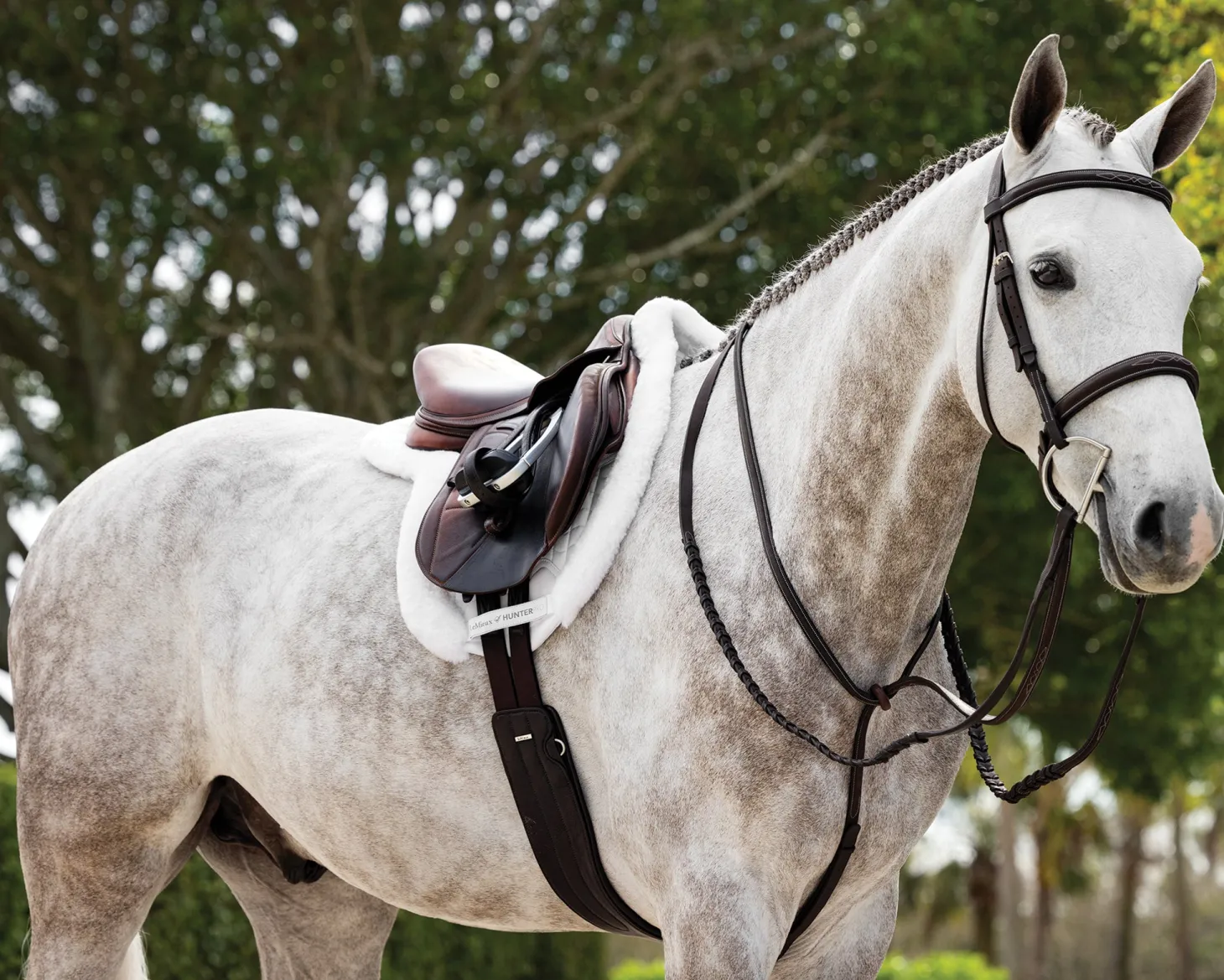 LeMieux® Merino+ ProSorb Hunter Saddle Pad