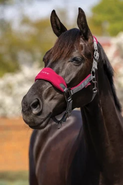 LeMieux® Vogue Halter & Rope Lead Set