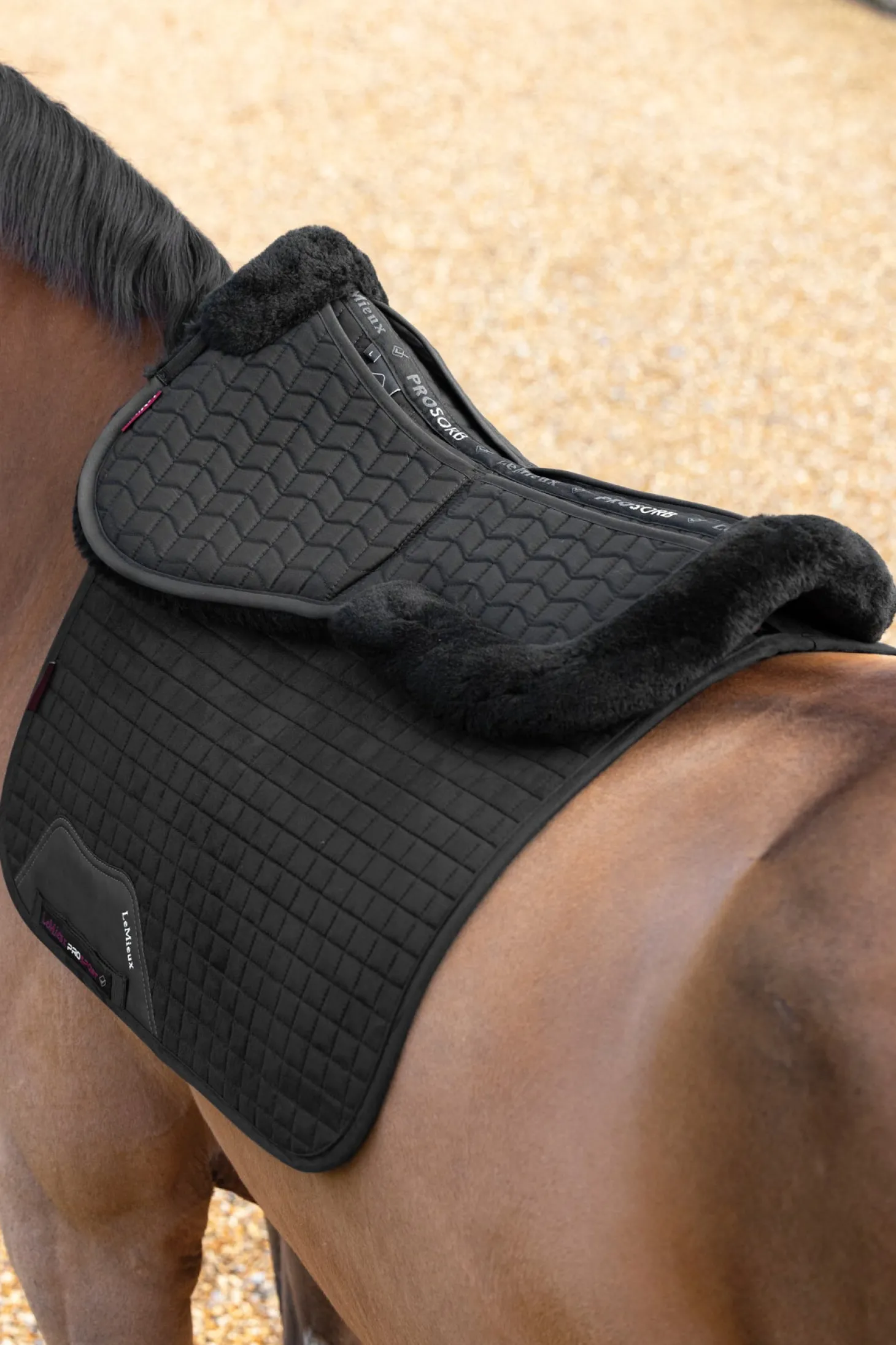 LeMieux® Merino+ ProSorb 2-Pocket Half Pad