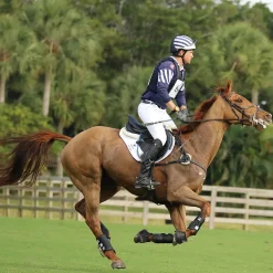 Majyk Equipe® Boyd Martin Eventing Front & Hind Boot 4-Pack