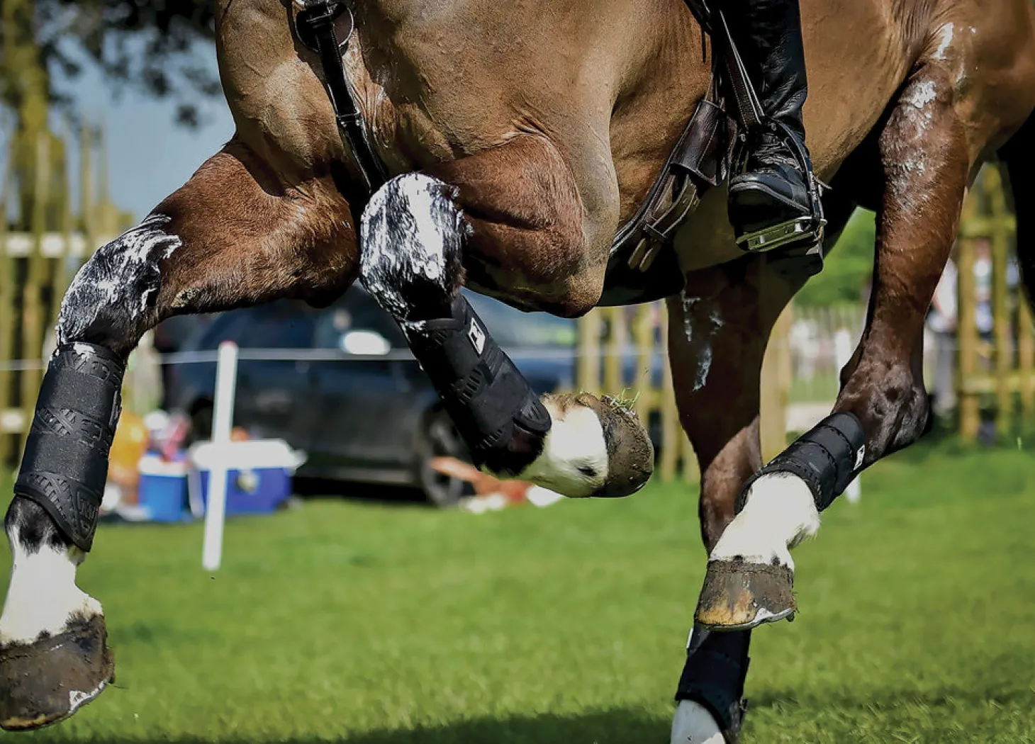 Majyk Equipe® XC Elite Hind Boot with Arti-Lage™ Technology