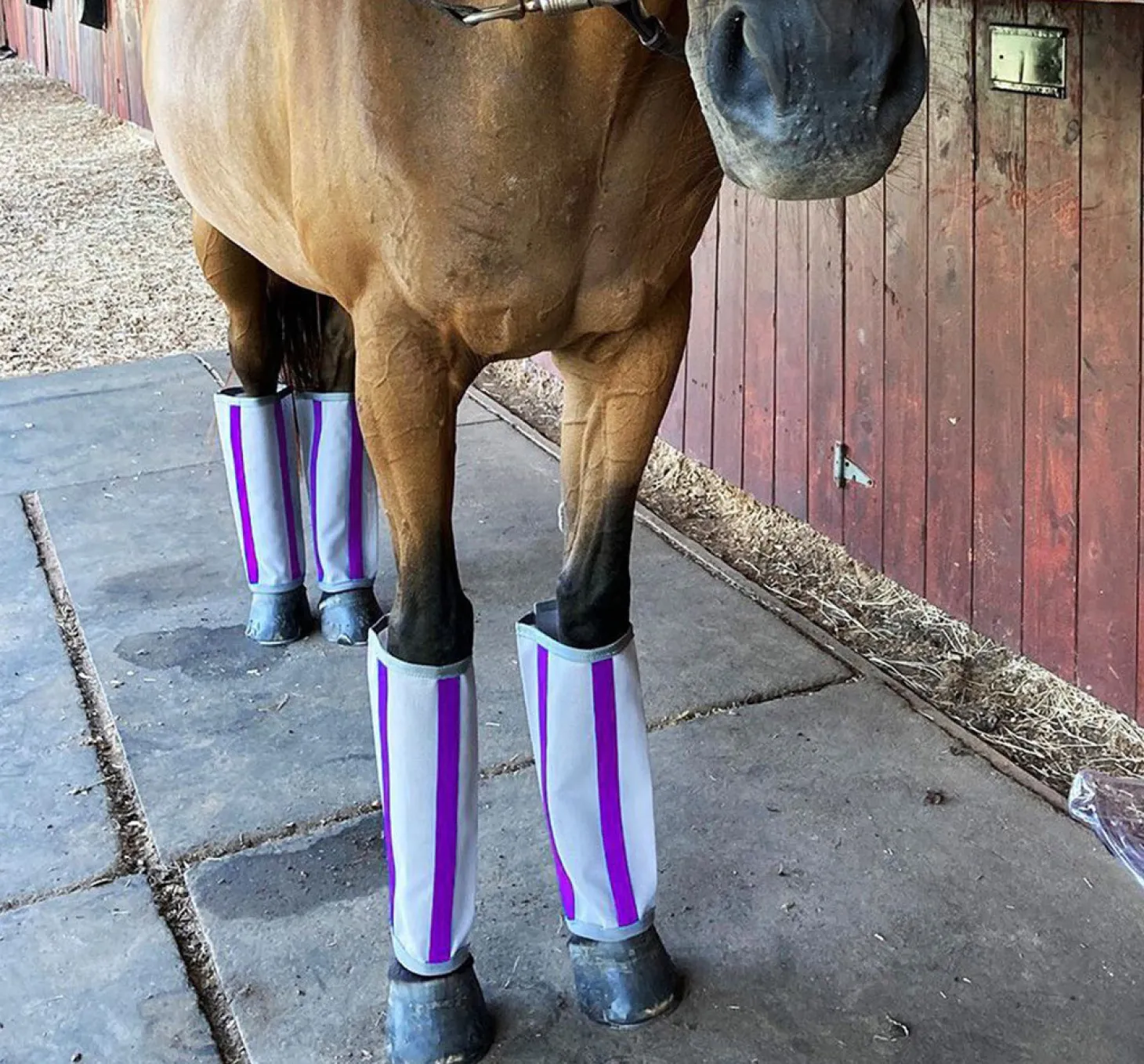 Majyk Equipe®Fly-Bye Boots Pack of 4