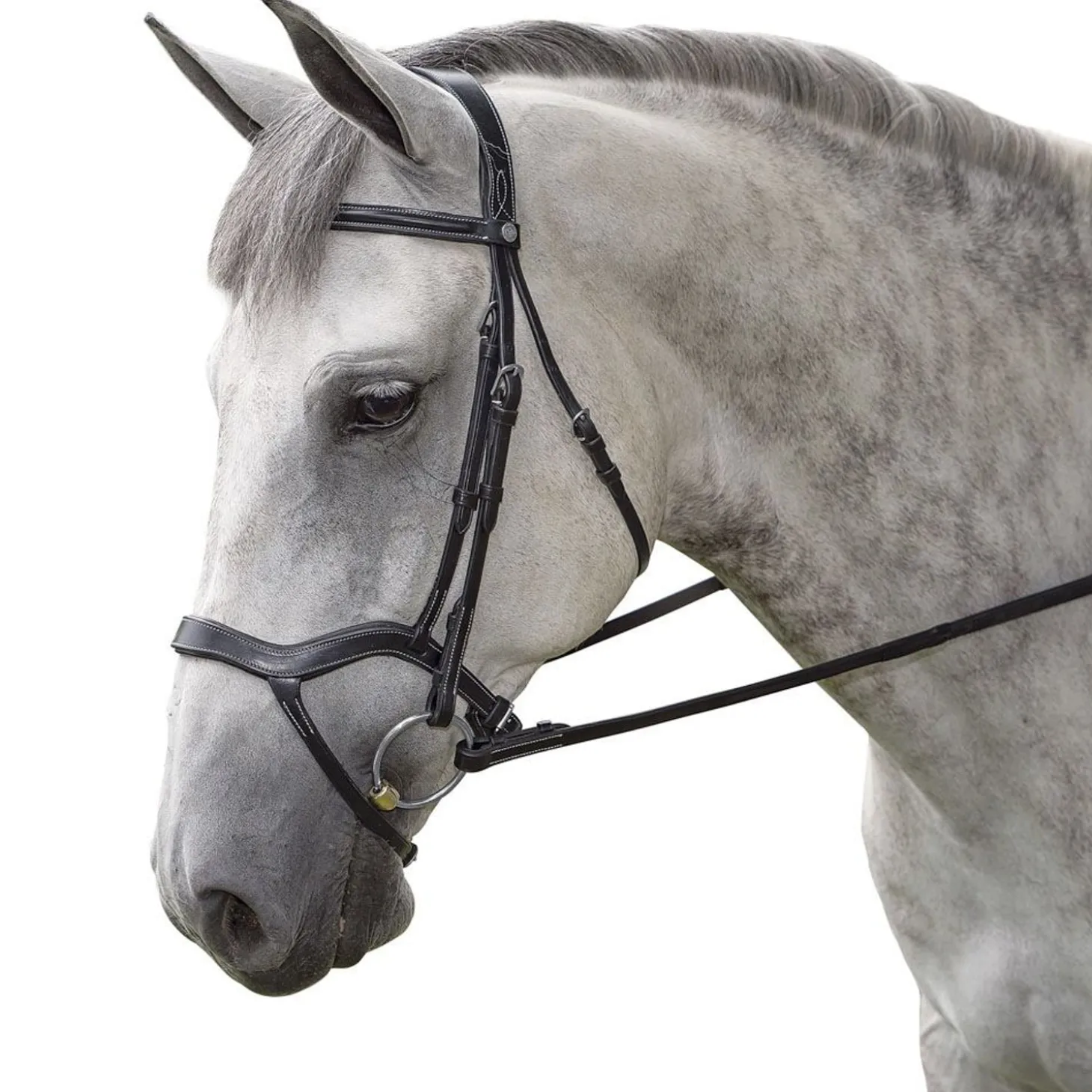 Marcel Toulouse Hybrid Dressage Bridle