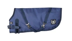 NorthWind™ Dog Turnout Blanket