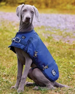 NorthWind™ Dog Turnout Blanket