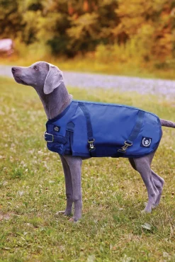 NorthWind™ Dog Turnout Blanket