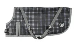 NorthWind™ Dog Turnout Blanket