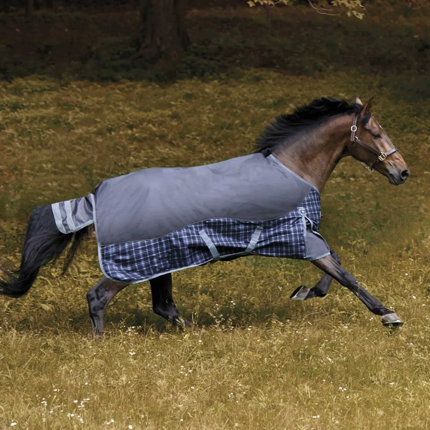 NorthWind™ Heavyweight Turnout Blanket