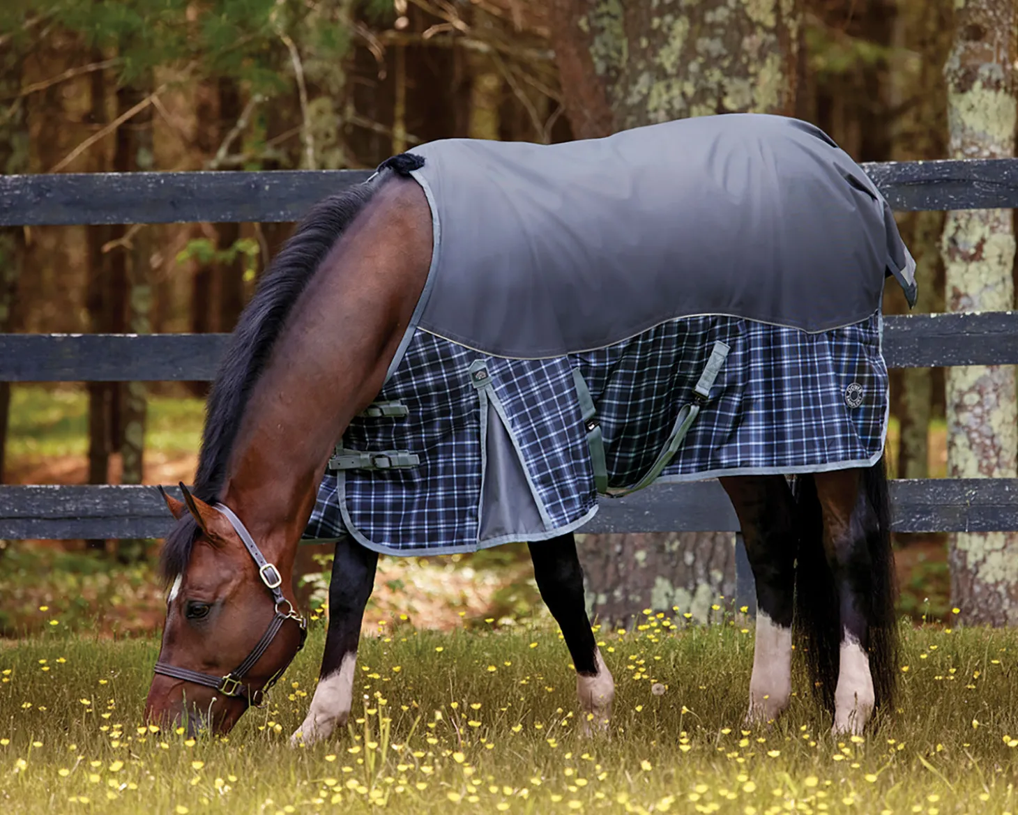 NorthWind™ Turnout Sheet