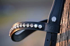 Otto Schumacher Fancy Stone Browband
