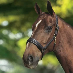 Otto Schumacher Leather Halter