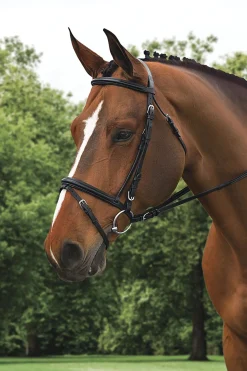 Ovation® Comfort Crown Dressage Bridle
