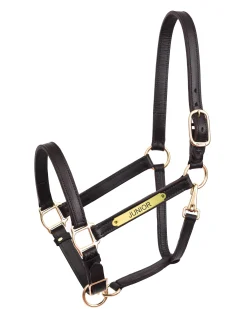 Perri’s® 1" Leather Turnout Halter with Nameplate