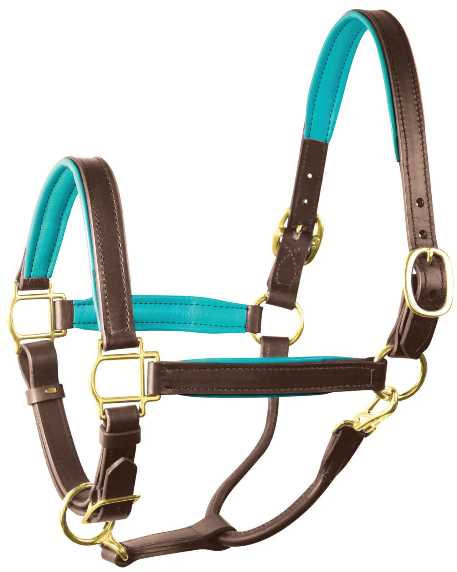 Perri’s® 1" Padded Leather Halter