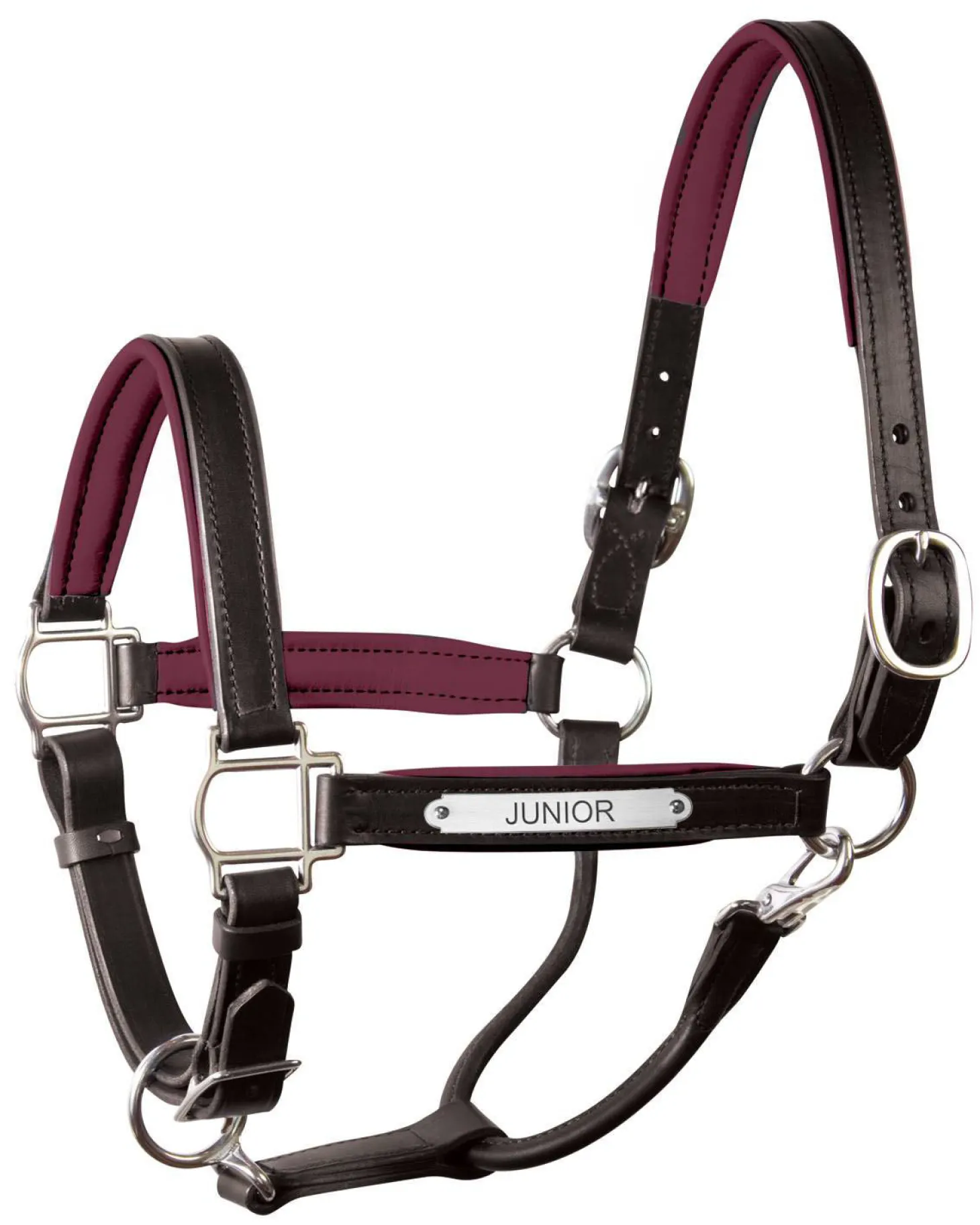 Perri’s® 1" Padded Leather Halter