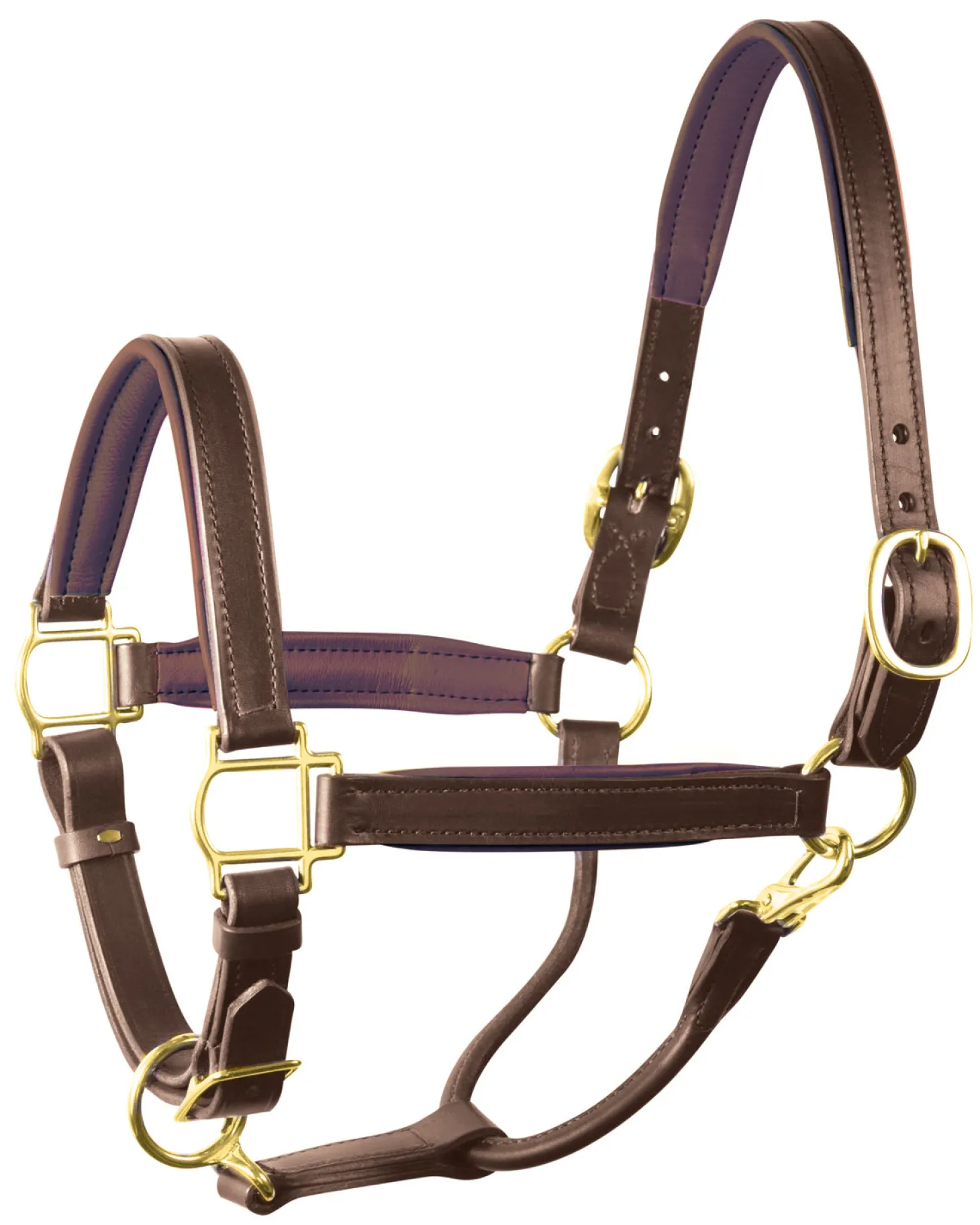 Perri’s® 1" Padded Leather Halter