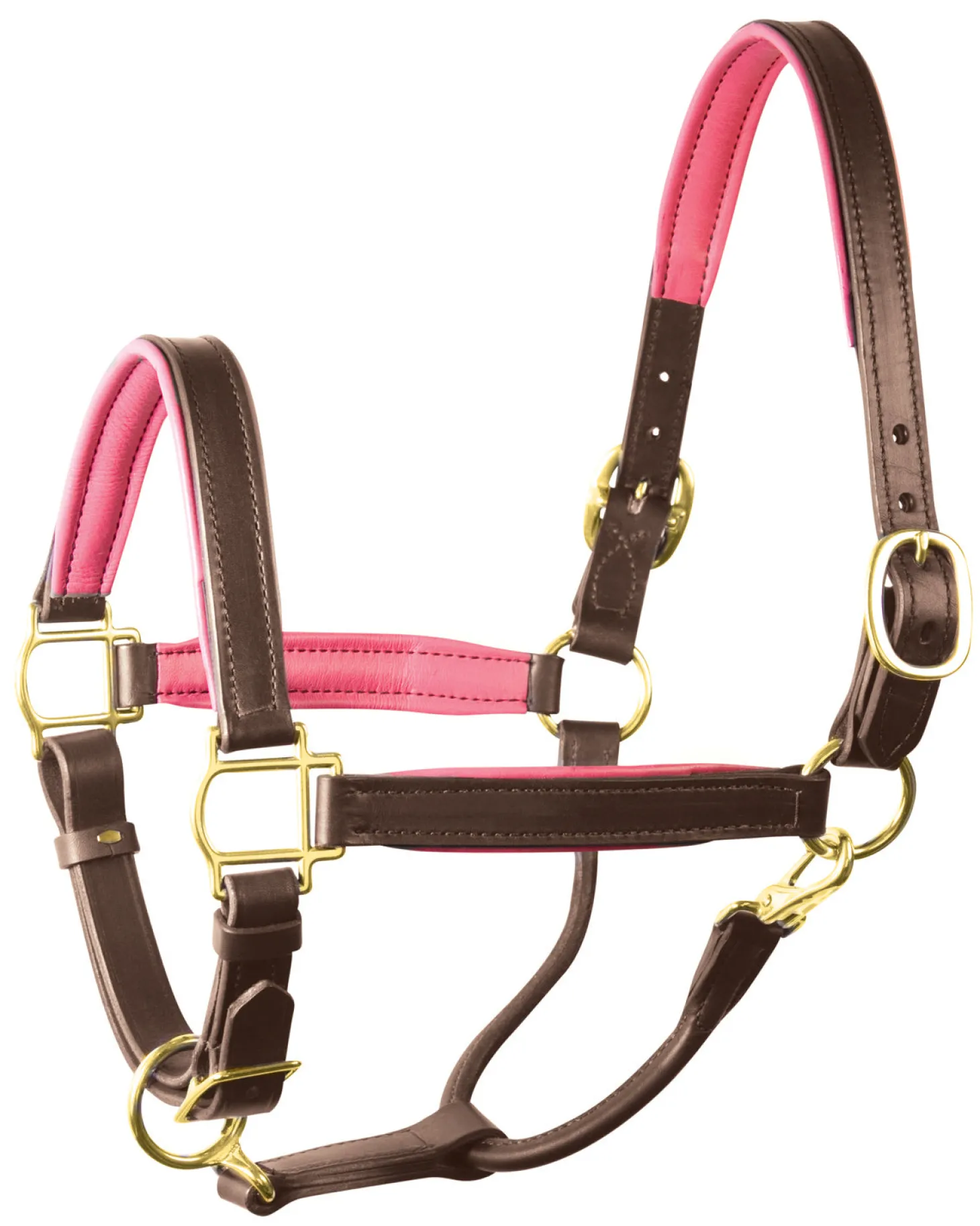 Perri’s® 1" Padded Leather Halter