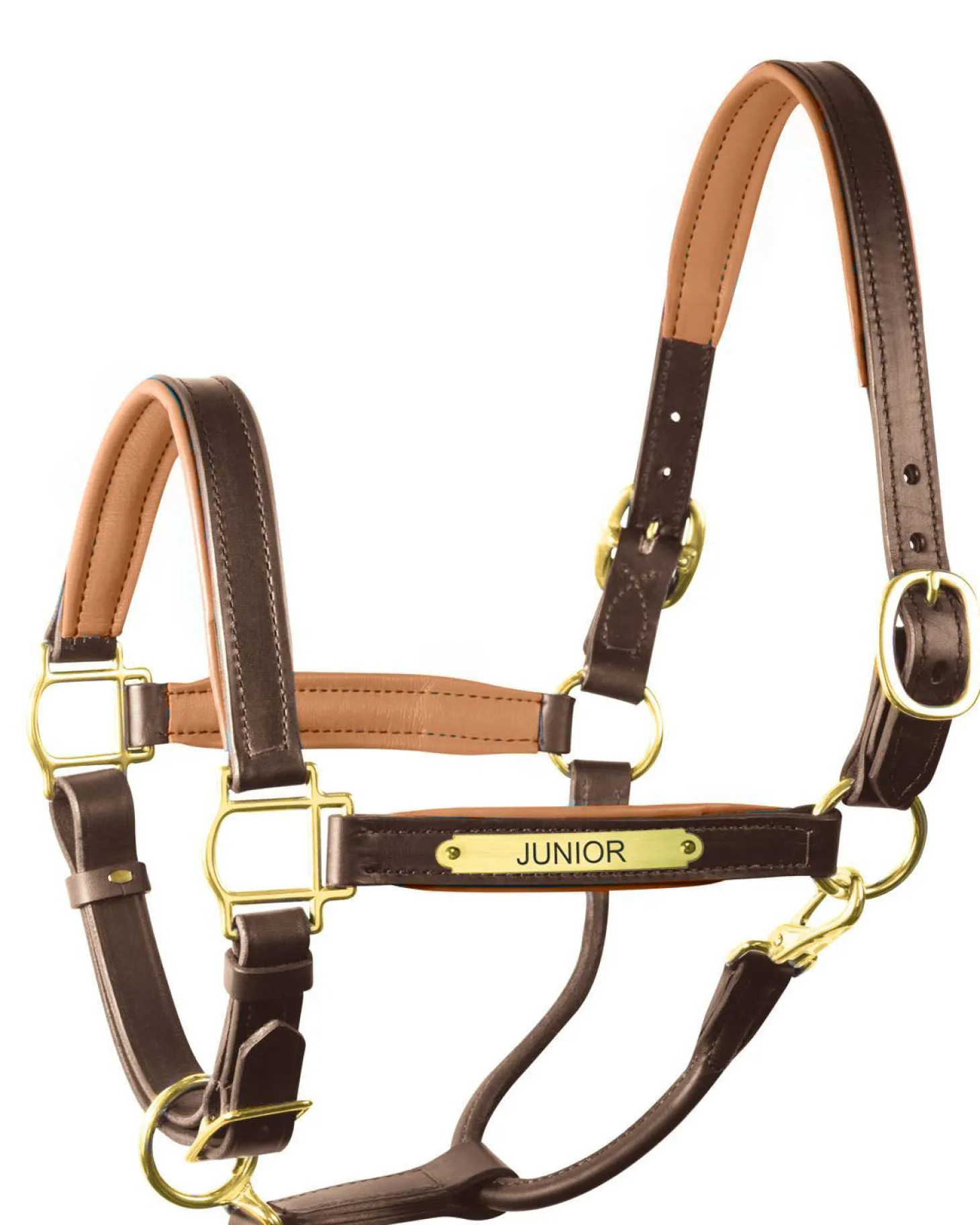 Perri’s® 1" Padded Leather Halter