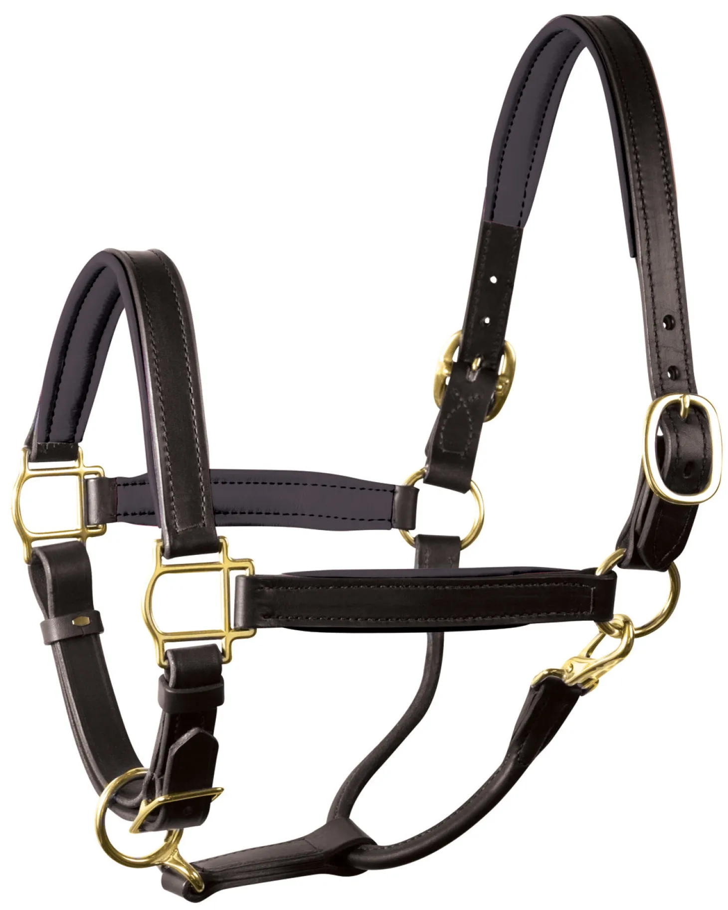 Perri’s® 1" Padded Leather Halter