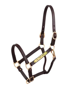 Perri’s® 3/4" Premium Leather Show Halter with Nameplate