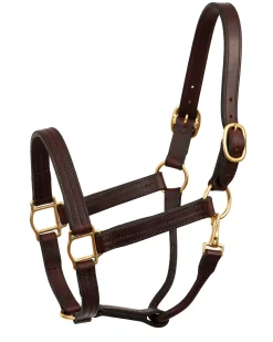 Perri’s® Heavy-Duty Track Halter with Snap