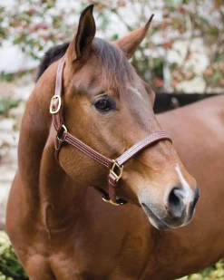Perri’s® Horse Professional Show Halter