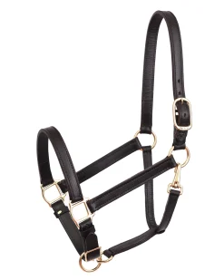 Perri’s® Leather Turnout Yearling Halter