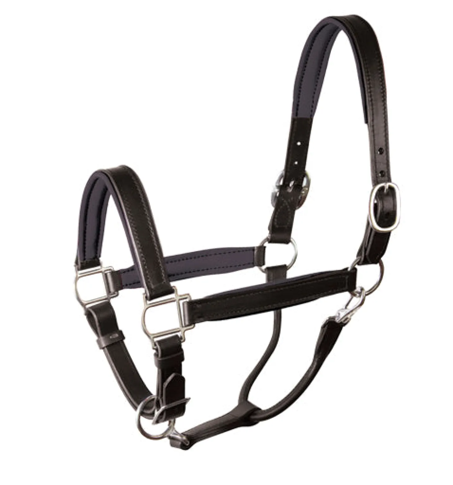 Perri’s® Padded Leather Halter Crownpiece
