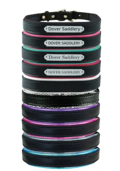 Perri’s® Padded Leather Nameplate Dog Collar