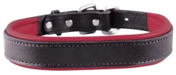 Perri’s® Padded Leather Nameplate Dog Collar