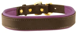 Perri’s® Padded Leather Nameplate Dog Collar
